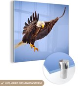 MuchoWow® Peinture sur Verre - Aigle - Ciel - Animal - 50x50 cm - Peintures sur Verre Acrylique - Photo sur Glas