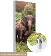 MuchoWow® Glasschilderij 60x120 cm - Schilderij acrylglas - Wilde olifanten - Foto op glas - Schilderijen