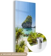 MuchoWow® Glasschilderij 80x160 cm - Schilderij acrylglas - Gestrande langstaartboten - Foto op glas - Schilderijen