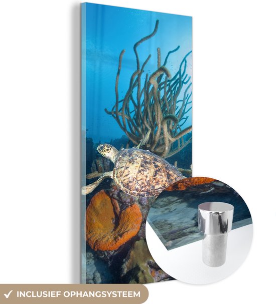 MuchoWow® Glasschilderij 40x80 cm - Schilderij acrylglas - Een schildpad in de onderwaterwereld van de Nederlandse Antillen - Foto op glas - Schilderijen