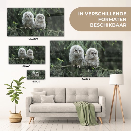 MuchoWow® Peinture sur verre 80x40 cm - Peinture sur verre acrylique - Deux hiboux - Photo sur verre - Peintures