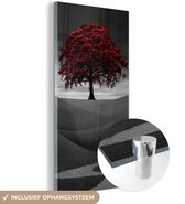 MuchoWow® Glasschilderij 60x120 cm - Schilderij acrylglas - Zwart-wit foto met een rode boom - Foto op glas - Schilderijen