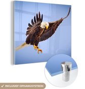 MuchoWow® Glasschilderij 20x20 cm - Schilderij acrylglas - Adelaar - Zeearend - Prooi - Jagen - Vogels - Foto op glas - Schilderijen