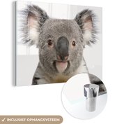 MuchoWow® Glasschilderij 120x90 cm - Schilderij acrylglas - Koala - Koala beer - Meisjes - Jongens - Kinderen - Dieren - Foto op glas - Schilderijen