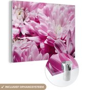 MuchoWow® Peinture sur verre 40x30 cm - Peinture sur verre acrylique - Fleurs - Rose - Nature - Photo sur verre - Peintures