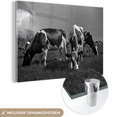 MuchoWow® Glasschilderij 180x120 cm - Schilderij glas - Kudde grazende koeien - zwart wit - Foto op acrylglas - Schilderijen