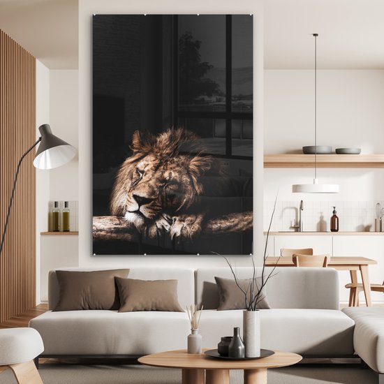 Peinture sur Verre - Lion - Tronc d'Arbre - Couleurs - 100x150 cm - Peintures sur Verre Peintures - Photo sur Glas