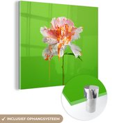 MuchoWow® Glasschilderij 20x20 cm - Schilderij acrylglas - Bloem - Verf - Kleuren - Foto op glas - Schilderijen