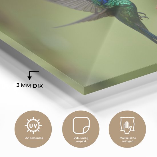 Colibri se nourrit d'une belle fleur en plexiglas 60x40 cm - Tirage photo sur Glas (décoration murale en plexiglas)