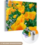 MuchoWow® Glasschilderij 120x90 cm - Schilderij acrylglas - Bloemen - Tuin - Oranje - Foto op glas - Schilderijen