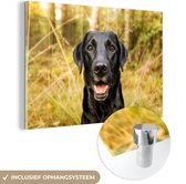 MuchoWow® Glasschilderij 30x20 cm - Schilderij acrylglas - Gelukkige zwarte hond - Foto op glas - Schilderijen