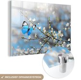 MuchoWow® Glasschilderij 60x40 cm - Schilderij acrylglas - Sakura - Vlinder - Lente - Foto op glas - Schilderijen