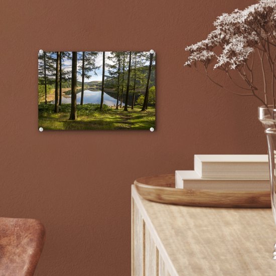 Grands arbres et un lac dans le parc national anglais Peak District Plexiglass 30x20 cm - petit - Tirage photo sur Glas (décoration murale en plexiglas)