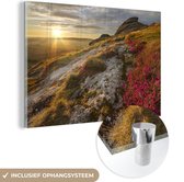 MuchoWow® Glasschilderij 60x40 cm - Schilderij acrylglas - Roze bloemen op het heuvellandschap van het Nationaal park Dartmoor - Foto op glas - Schilderijen