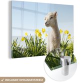 MuchoWow® Peinture sur Verre - Moutons - Fleurs - Printemps - 60x40 cm - Peintures sur Verre Acrylique - Photo sur Glas