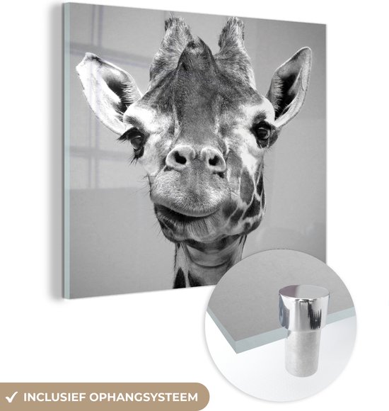 MuchoWow® Peinture sur verre 90x90 cm - Peinture sur verre - Gros plan d'une tête de girafe - noir et blanc - Photo sur verre acrylique - Peintures