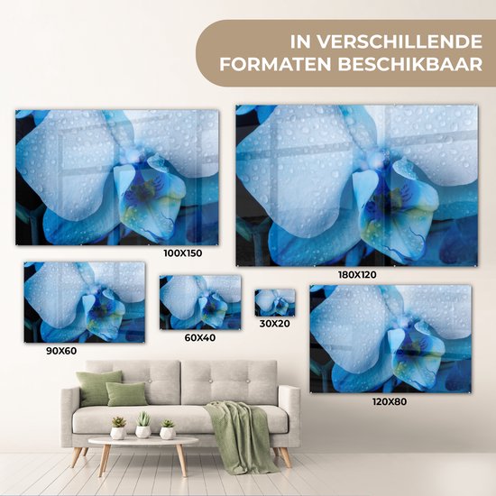 Peinture sur verre MuchoWow® - Gros plan d'une orchidée bleue avec des feuilles claires - 150x100 cm - Peintures sur verre acrylique - Photo sur Glas