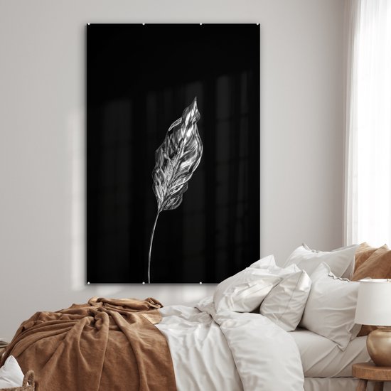 MuchoWow® Peinture sur Verre - Feuille fine sur fond noir - noir et blanc - 100x150 cm - Peintures sur Verre Acrylique - Photo sur Glas