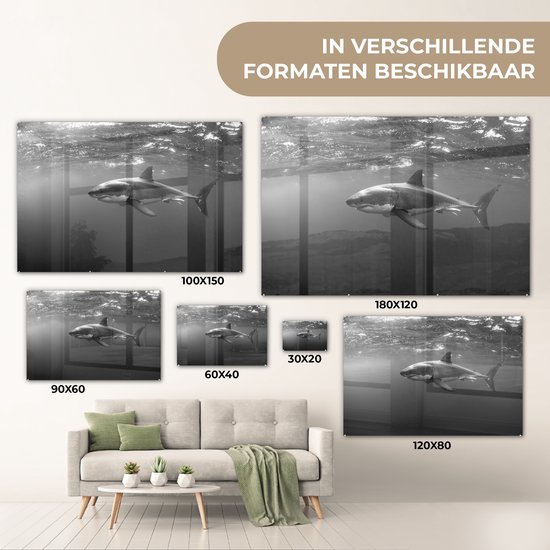 Peinture sur verre - Grand requin blanc - noir et blanc - 120x80 cm - Peintures sur Verre Peintures - Photo sur Glas