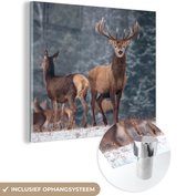 MuchoWow - Glasschilderij - Herten - Landschap - Dieren - Winter - Sneeuw - Acrylglas - Schilderij op glas - 20x20 cm - Glas schilderij - Wanddecoratie - Schilderijen woonkamer