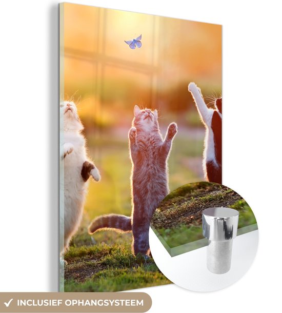Peinture sur verre - Photo sur verre - Chats - Chat - Papillon - Coucher de soleil - Nature - 30x40 cm - Verre acrylique - Peinture sur verre nature - Peinture sur verre - Décoration murale
