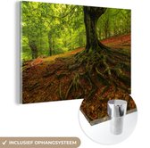 MuchoWow® Glasschilderij 60x40 cm - Schilderij acrylglas - Boom - Bos - Herfstbladeren - Foto op glas - Schilderijen