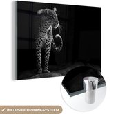 Glasschilderij - Acrylglas - Wilde dieren - Luipaard - Natuur - Zwart - Wit - Muurdecoratie - Foto op glas - 120x80 cm - Schilderijen woonkamer - Wanddecoratie dieren