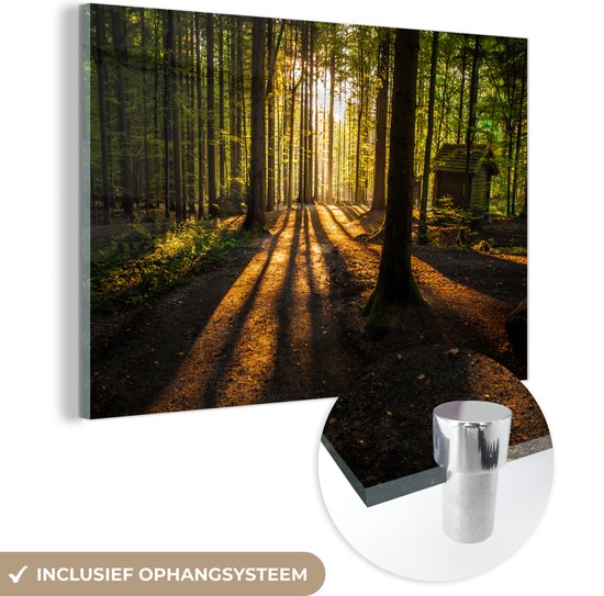 Glasschilderij - Glasschilderij binnen - Bos - Zon - Natuur - Landschap - Acrylglas - Foto op glas - Schilderij glas - 120x80 cm - Wanddecoratie - Woonkamer