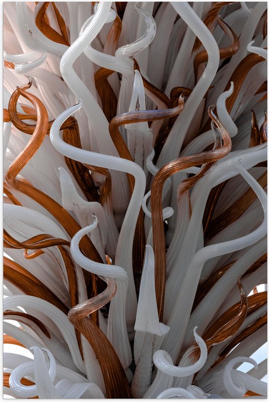 Poster Glanzend – Abstracte Bruine en Witte Kronkels - 60x90 cm Foto op Posterpapier met Glanzende Afwerking