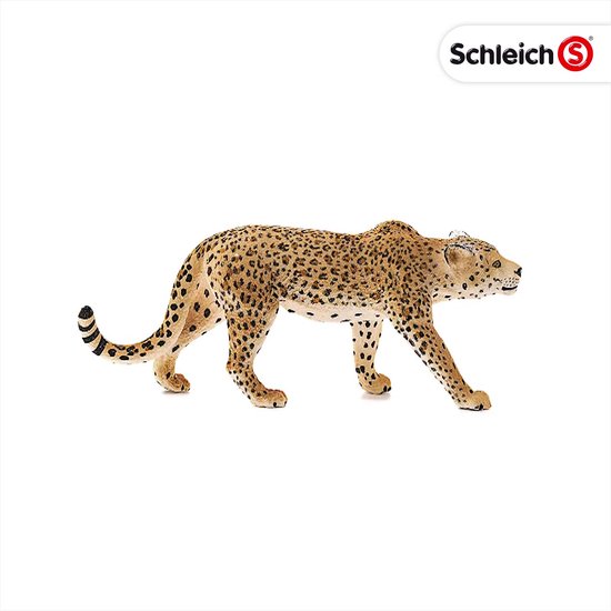 Figurine - SCHLEICH - Bébé Guépard - Multicolore - Wild Life - Mixte - 3 ans - Jeux - Jouets Figurine - SCHLEICH - Bébé Guépard - Multicolore - Wild Life - Mixte - 3 ans - Jeux - Jouets
