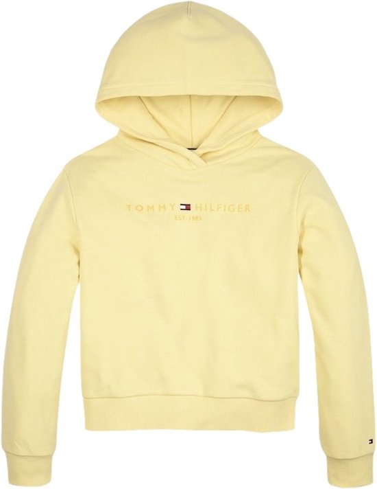 Tommy Hilfiger Essential Logo Hoodie Truien & Vesten Meisjes - Sweater -  Hoodie -... | bol.com
