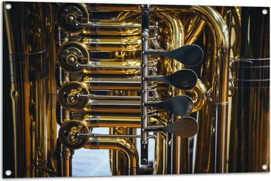 Tuinposter – Knoppen van Gouden Trompet - 105x70 cm Foto op Tuinposter (wanddecoratie voor buiten en binnen)