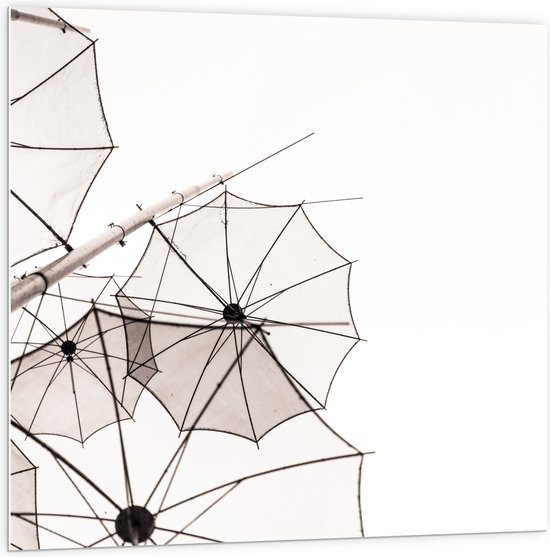 PVC Schuimplaat - Doorzichtige Paraplu Vormen tegen Witte Achtergrond - 100x100 cm Foto op PVC Schuimplaat (Met Ophangsysteem)