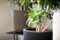 Zwarte en gouden plantenpot met verticale ribbels, met groene planten, in een woonkamer.