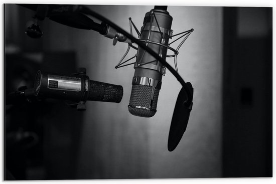 Dibond - Studio Microfoon (Zwart-wit) - 60x40 cm Foto op Aluminium (Met Ophangsysteem)
