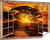 Gards Affiche de jardin Coucher de soleil transparent derrière un arbre de la savane - 150x100 cm - Toile jardin - Décoration de jardin - Décoration murale extérieur - Tableau jardin