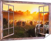 Gards Tuinposter Doorkijk Kudde Koeien in Weiland bij Zonsondergang - 180x120 cm - Tuindoek - Tuindecoratie - Wanddecoratie buiten - Tuinschilderij