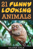 Weird & Wonderful Animals 7 - 21 Funny Looking Animals