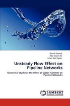 Unsteady Flow Effect on Pipeline Networks