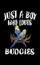 Just A Boy Who Loves Budgies