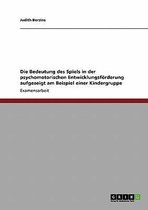 Die Bedeutung Des Spiels In Der Psychomotorischen Entwicklungsförderung Aufgezeigt Am Beispiel Einer Kindergruppe