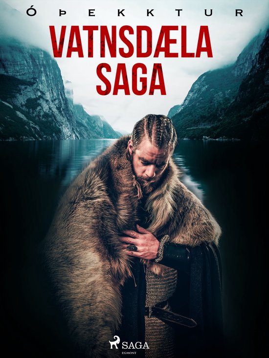Íslendingasögur - Vatnsdæla saga - cover