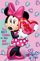 Disney Minnie Mouse Fleeceplaid - 100 x 150 cm - Roze