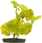 Aquarium plant egypt 3 silk, s