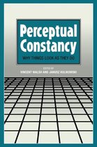 Perceptual Constancy