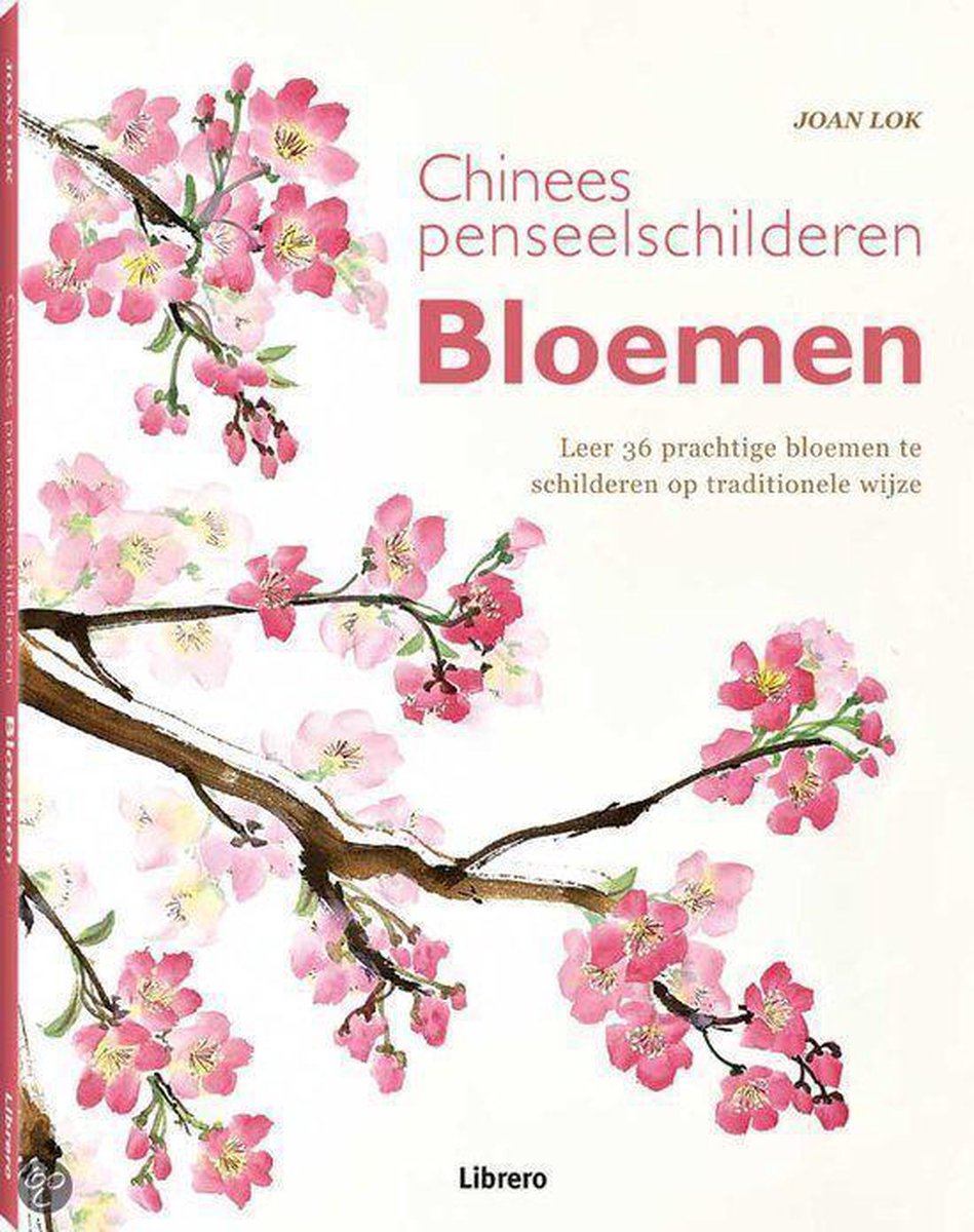 vrijgesteld Verbeteren Brawl Chinees penseelschilderen, Joan Lok | 9789089985323 | Boeken | bol.com