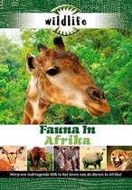 Wildlife - Fauna In Afrika