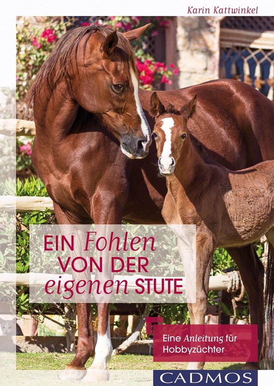 Haltung und Gesundheit - Ein Fohlen von der eigenen Stute - cover