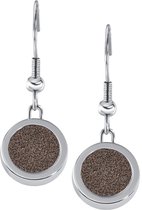 Quiges RVS Schroefsysteem Oorhangers Oorbellen Zilverkleurig met Verwisselbare Bruine Glitter Mini Munt Set