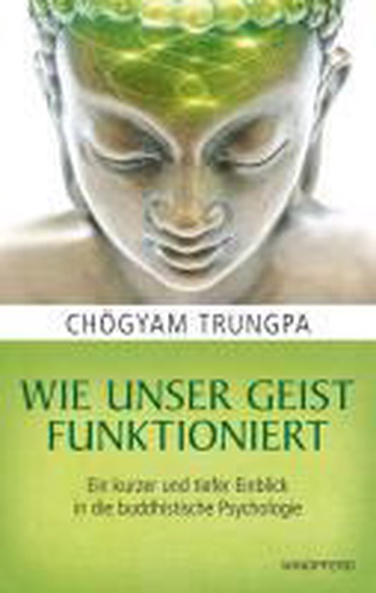Wie unser Geist funktioniert - cover